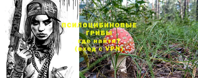 сколько стоит  Ишимбай  Псилоцибиновые грибы MAGIC MUSHROOMS 